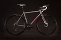 Salsa Colossal 2 bike gray color side view