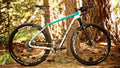 Salsa Cutthroat Carbon Force 1 bike side view outside in woods