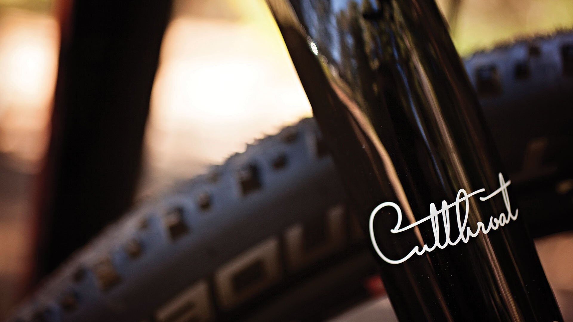 Salsa Cutthroat Carbon Rival 22 bike up close detail of Cutthroat decal on fork