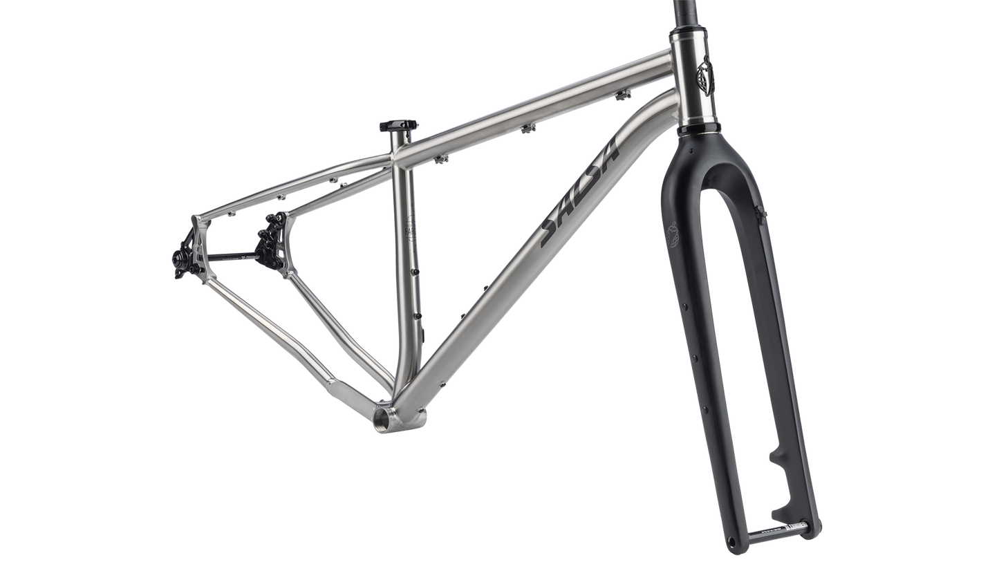 Salsa Fargo 32 Titanium Frame - Brused titanium - side profile view
