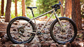 Salsa Fargo 27.5 Plus Rival bike side view outside in forest