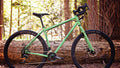 Salsa Fargo GX bike green color side view