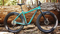 Salsa Mukluk NX1 bike teal color side view next to downed tree