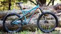 Salsa Pony Rustler GX1 bike blue color side view next to downed trees
