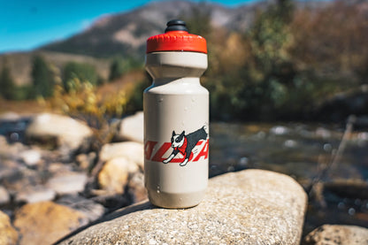 A bike water bottle with a red cap stands on a large rock outdoors near a stream, with mountains and trees blurred in the background. The bottle has a graphic of a black dog and the word 'SALSA' in red and black.