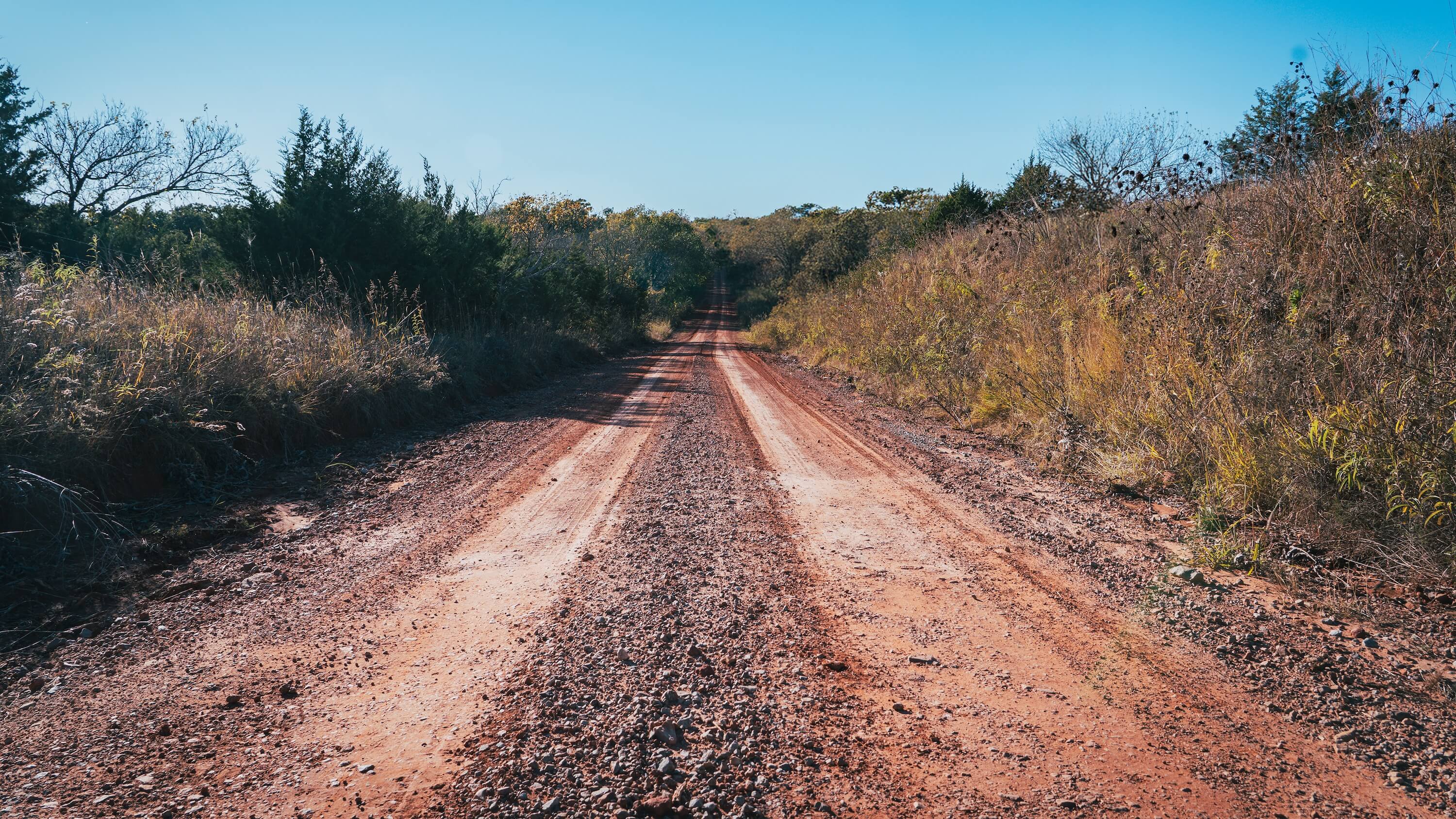 Winding dirt road through a natural landscape with trees and shrubs on either side.