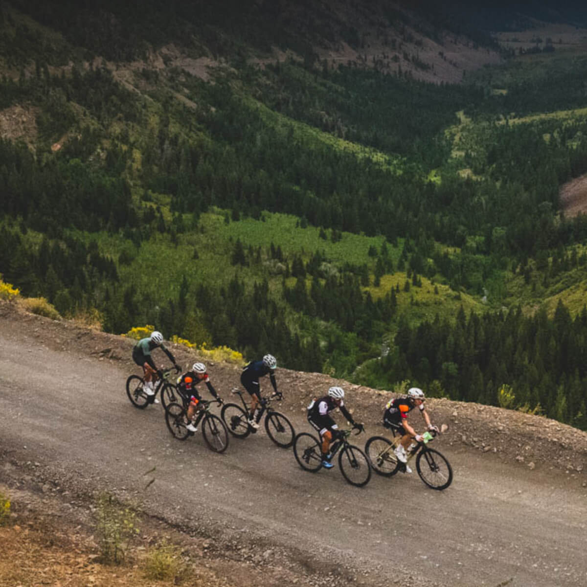 Group of cyclists riding on a mountain road with a scenic view of trees and hills.