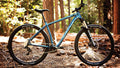 Salsa Timberjack NX1 29 bike blue color side view in forest