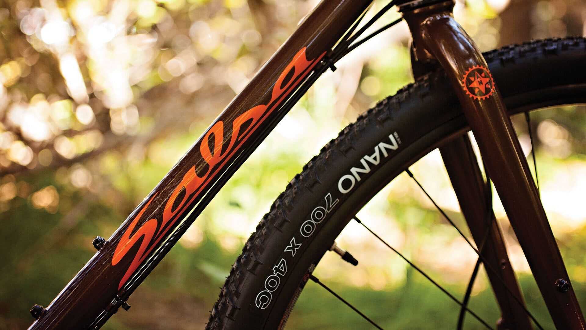 Close-up of a bicycle with 'Salmo' branding against a blurred natural background
