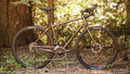 Salsa Vaya Deore bike green color side view in forest