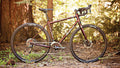 Salsa Vaya Deore bike red color side view outside in forest