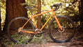 Salsa Vaya GX bike orange color side view outside in forest