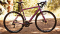 Salsa Warbird Carbon 105 bike purple color side view outside on forest road