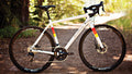 Salsa Warbird 105 bike white color side view outside on forest road