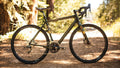 Salsa Warbird Carbon Force 22 Brooks edition bike green color side view outside in nature