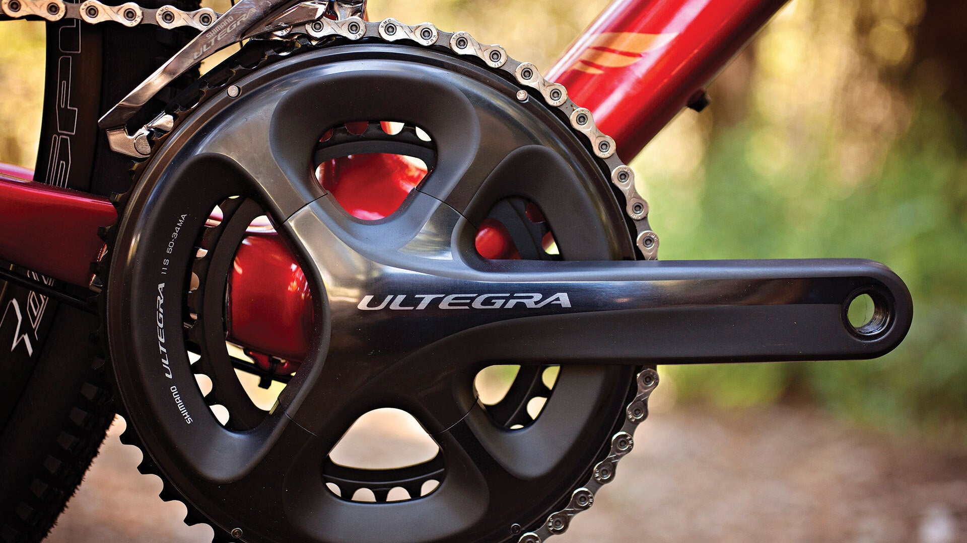 Close-up of a bicycle chainring and crankset with 'Ultegra' branding, blurred natural background
