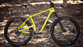 Salsa Woodsmoke 27.5 Plus X01 bike hi-viz yellow color side view in forest