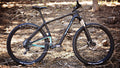 Salsa Woodsmoke Carbon 29 NX1 bike carbon color side view in forest 