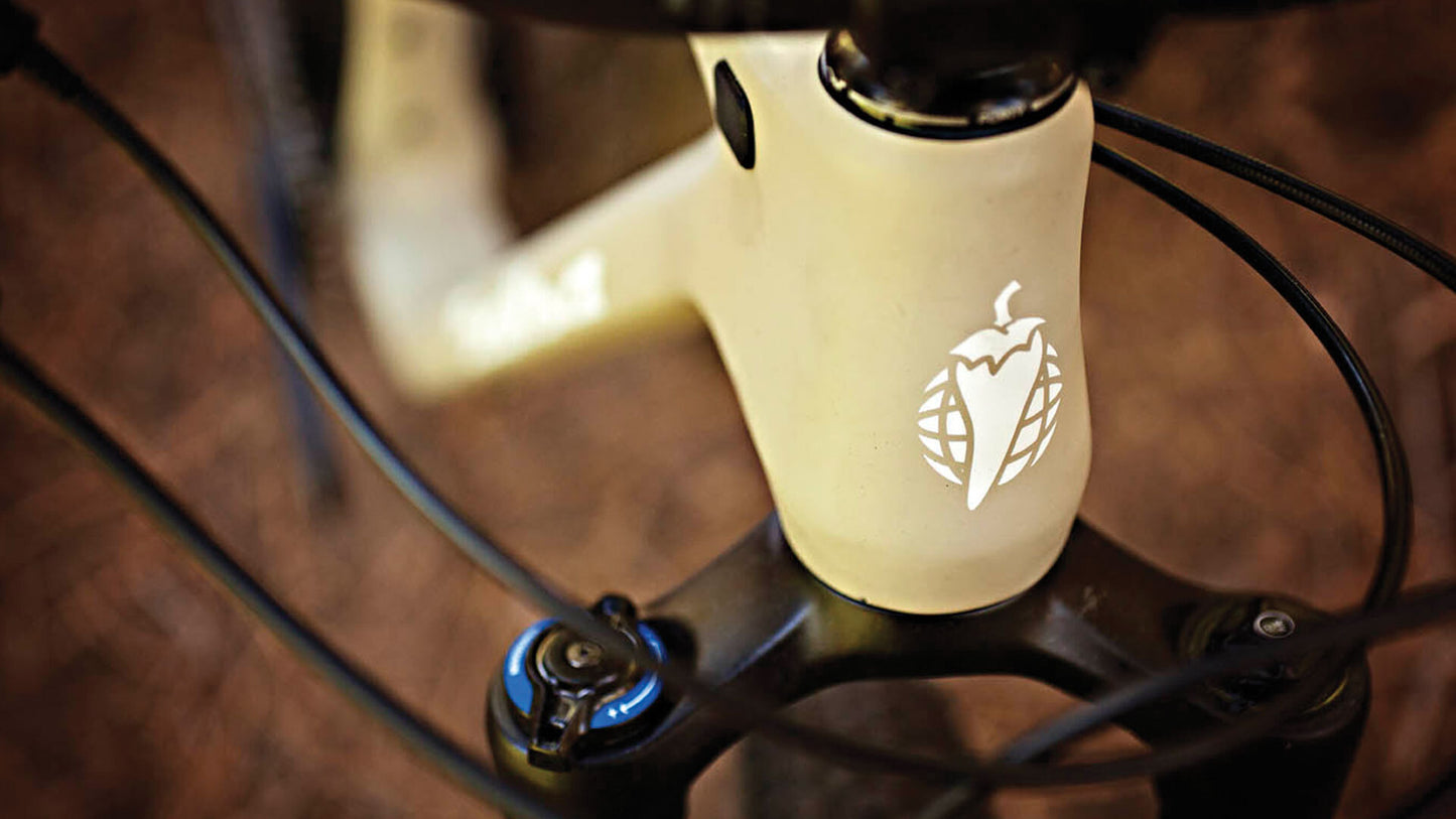 Salsa Woodsmoke Carbon GX1 29 Plus bike tan color head tube area focus