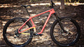 Salsa Woodsmoke Carbon 29 Plus bike orange color side view in forest
