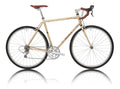 Salsa Casseroll bike side view