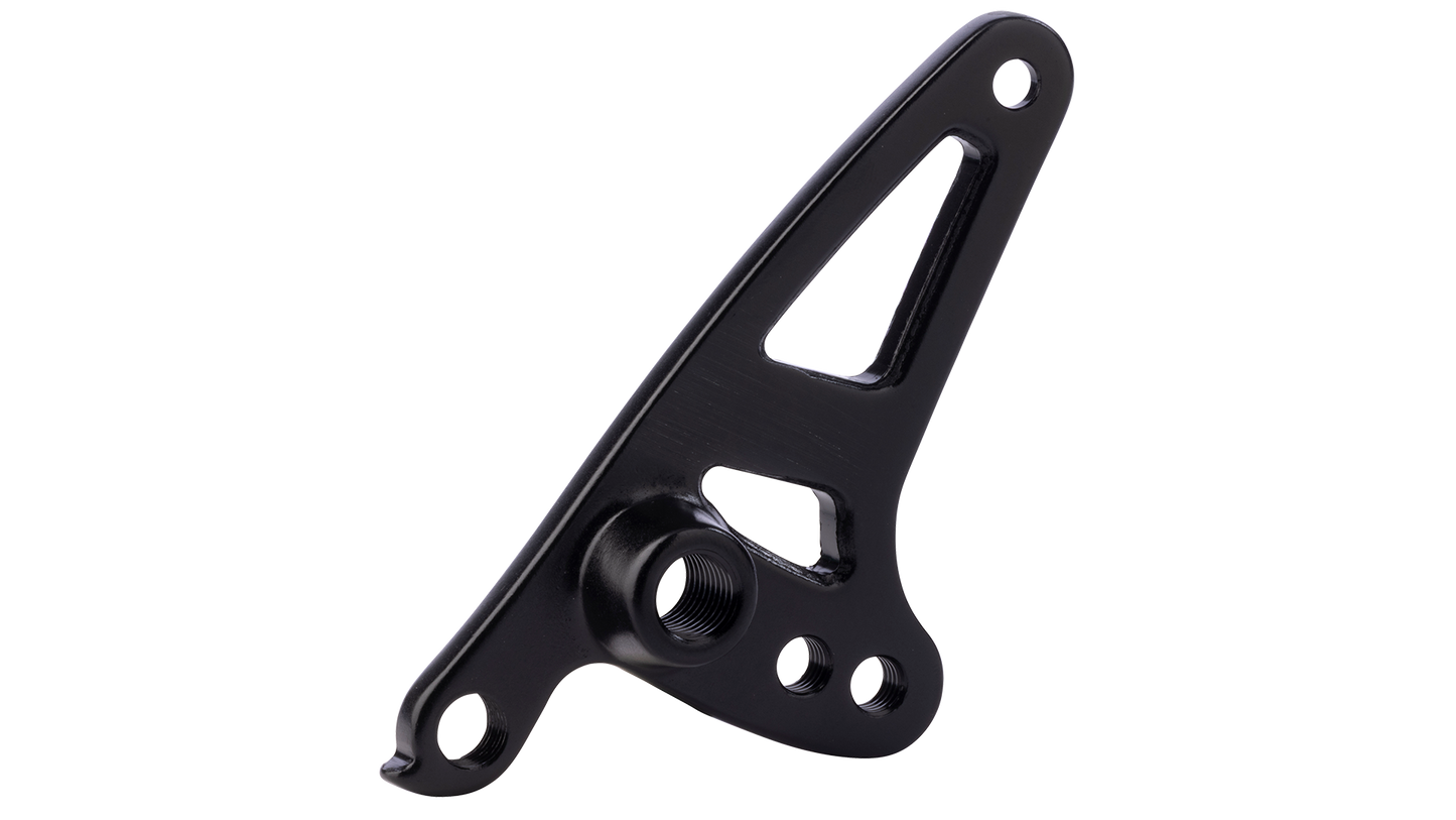 FS0267 Salsa Alternator 2.0 Dropout Plate (Drive Side, Two-Position Fixed, Thru-Axle)