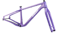 Salsa Beargrease Carbon Frameset - Twilight purple - side view