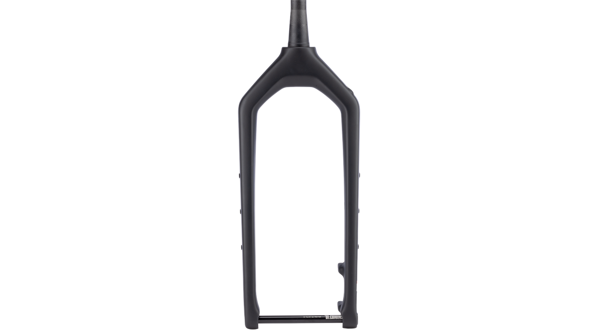 Salsa Bearpaw 2 Carbon Fork - Black - front view