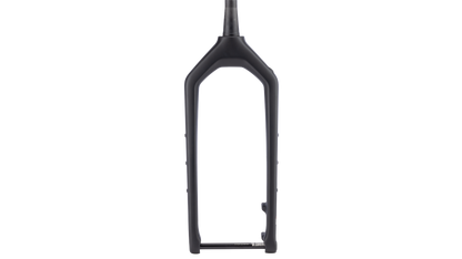 Salsa Bearpaw 2 Carbon Fork - Black - front view
