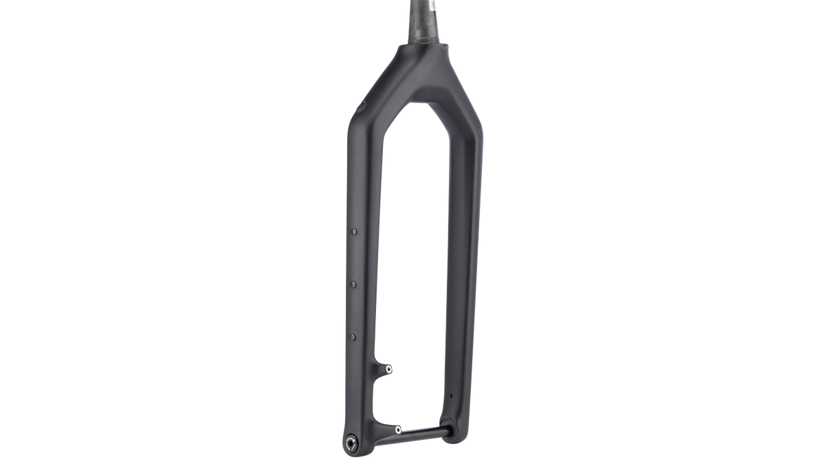 Salsa Bearpaw 2 Carbon Fork - Black - Side three quarter view 2