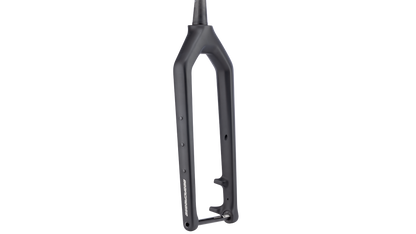 Salsa Bearpaw 2 Carbon Fork - Black - Side three quarter view