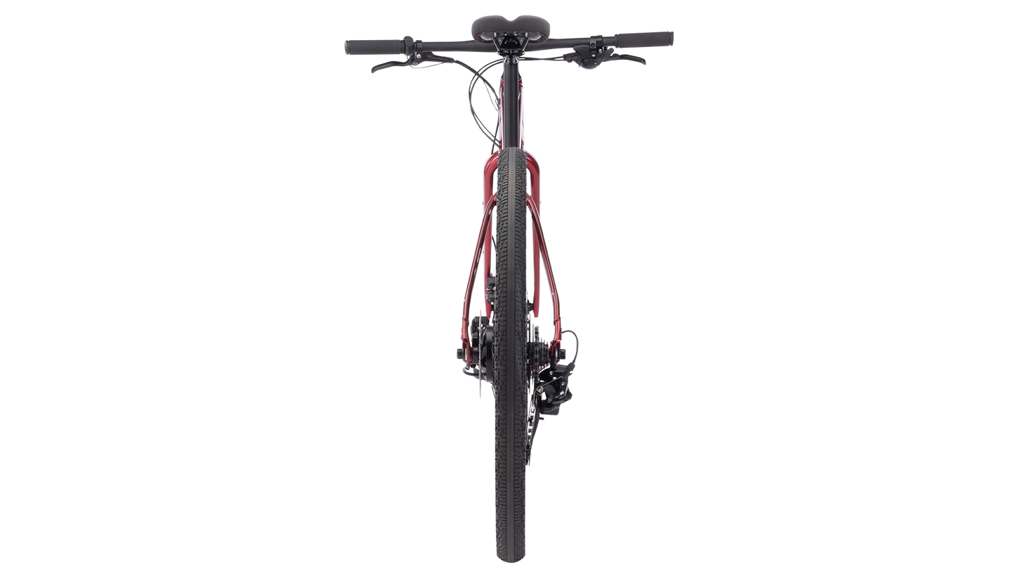 Salsa Confluence Flat Bar Essa 8 Ebike - Canyon Red - Rear View