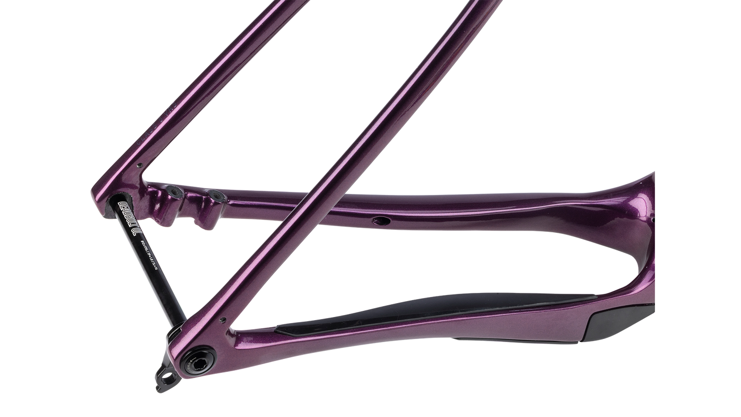 Salsa Cutthroat Gravel Bike Frameset - Deep Orchid - Rear axle closeup view