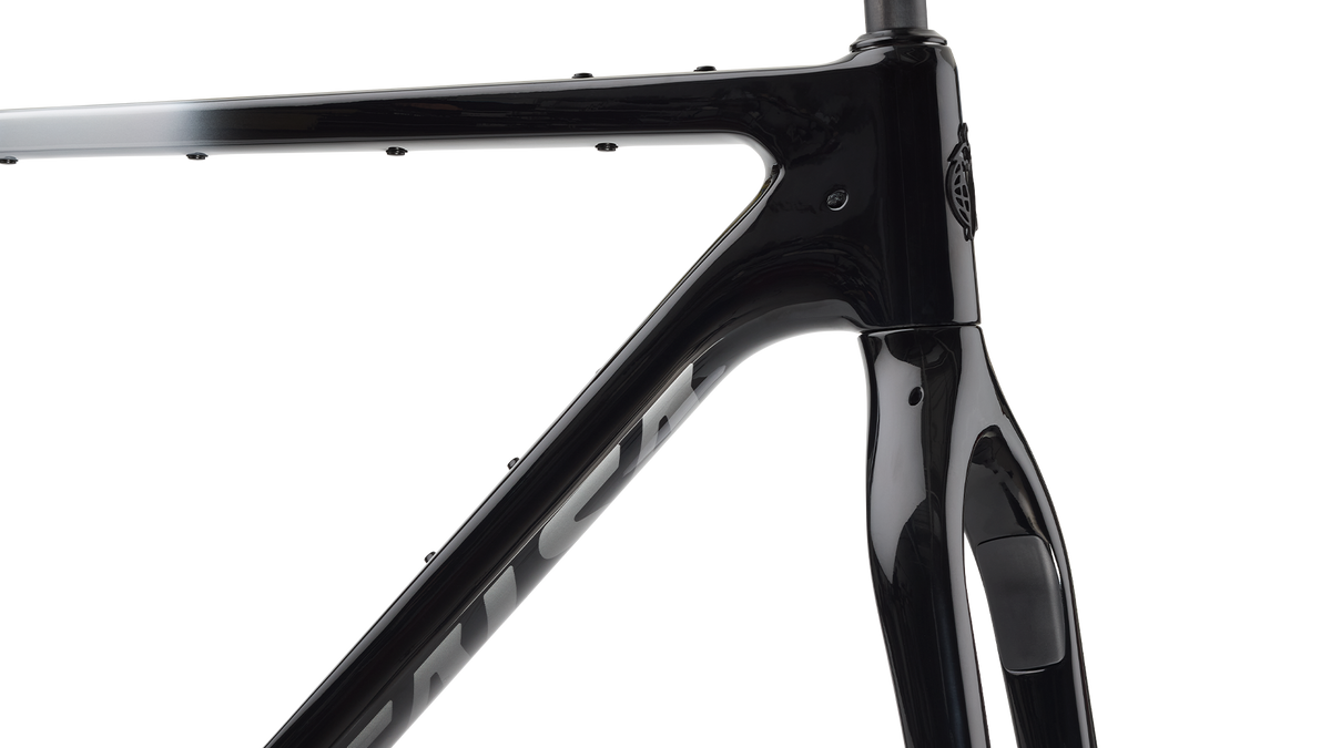 Bikepacking Frameset - Salsa Cutthroat C Frameset – Salsa Cycles