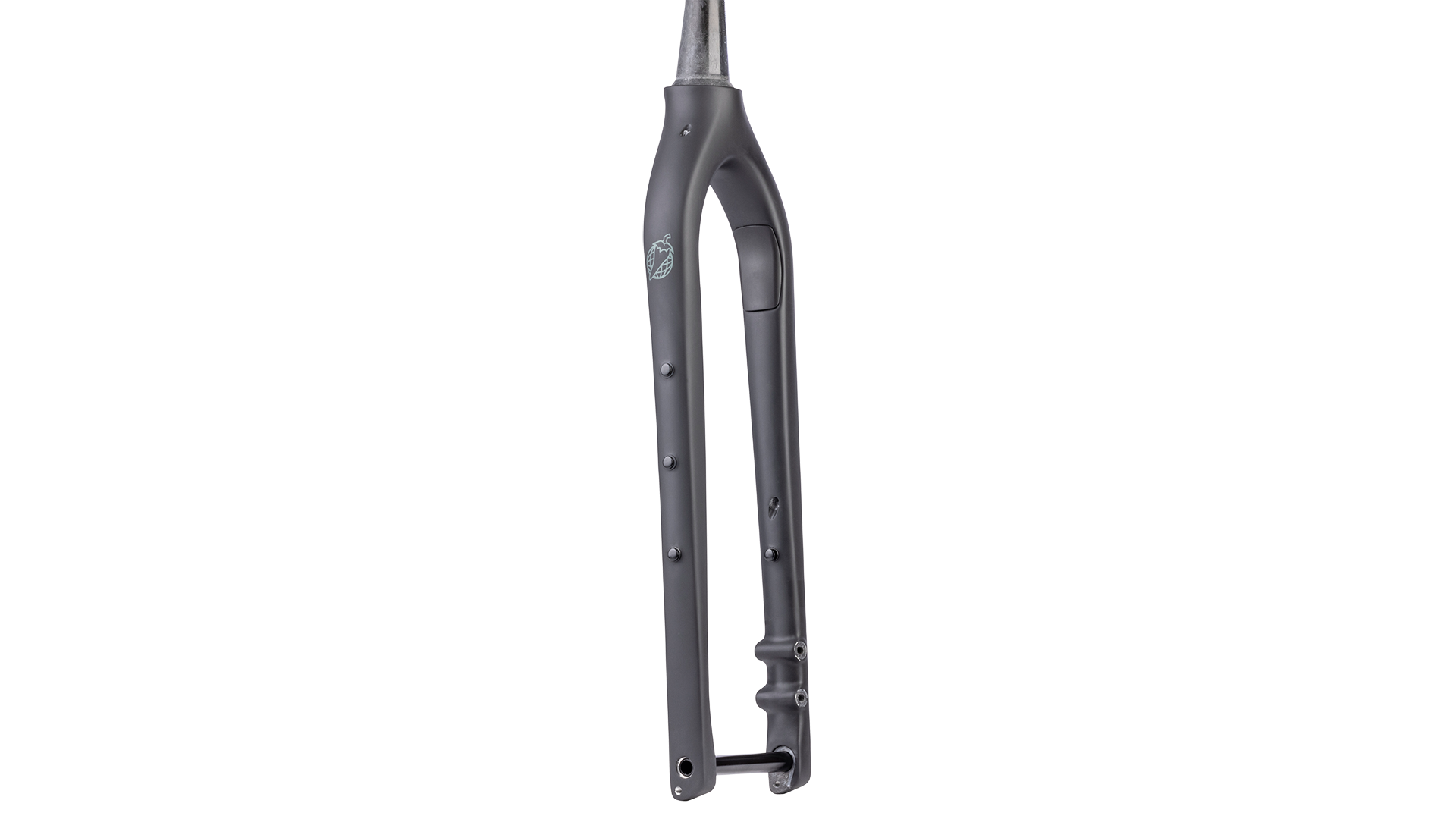 Salsa Cutthroat Carbon Fork - Black Matte - Side view with three pack mounts