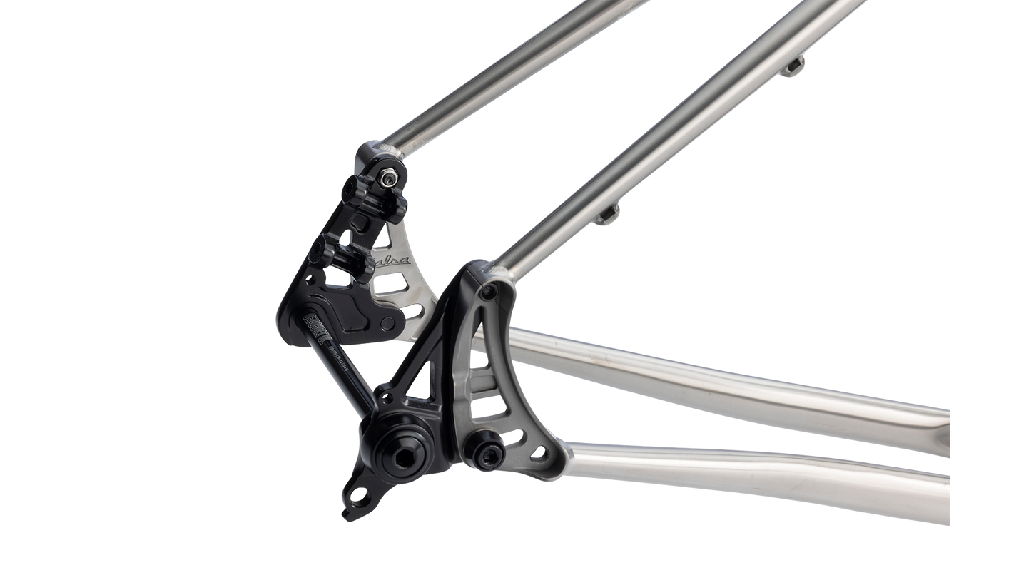 Salsa Fargo Ti Gravel Bike Frameset - Brushed Titanium - Rear axle closeup