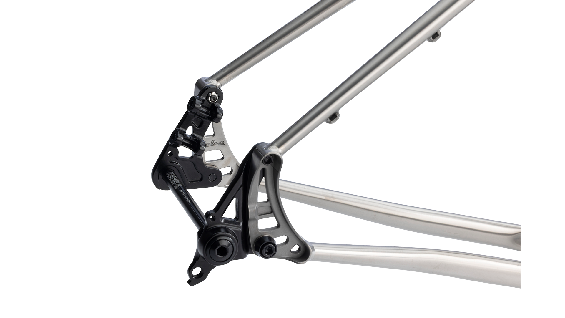 Salsa Fargo Ti Gravel Bike Frameset - Brushed Titanium - Rear axle closeup
