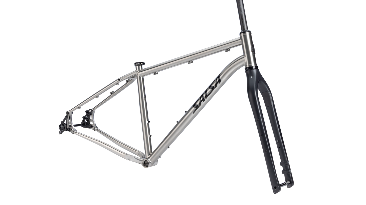 Salsa Fargo Ti Gravel Bike Frameset - Brushed Titanium - Side profile view