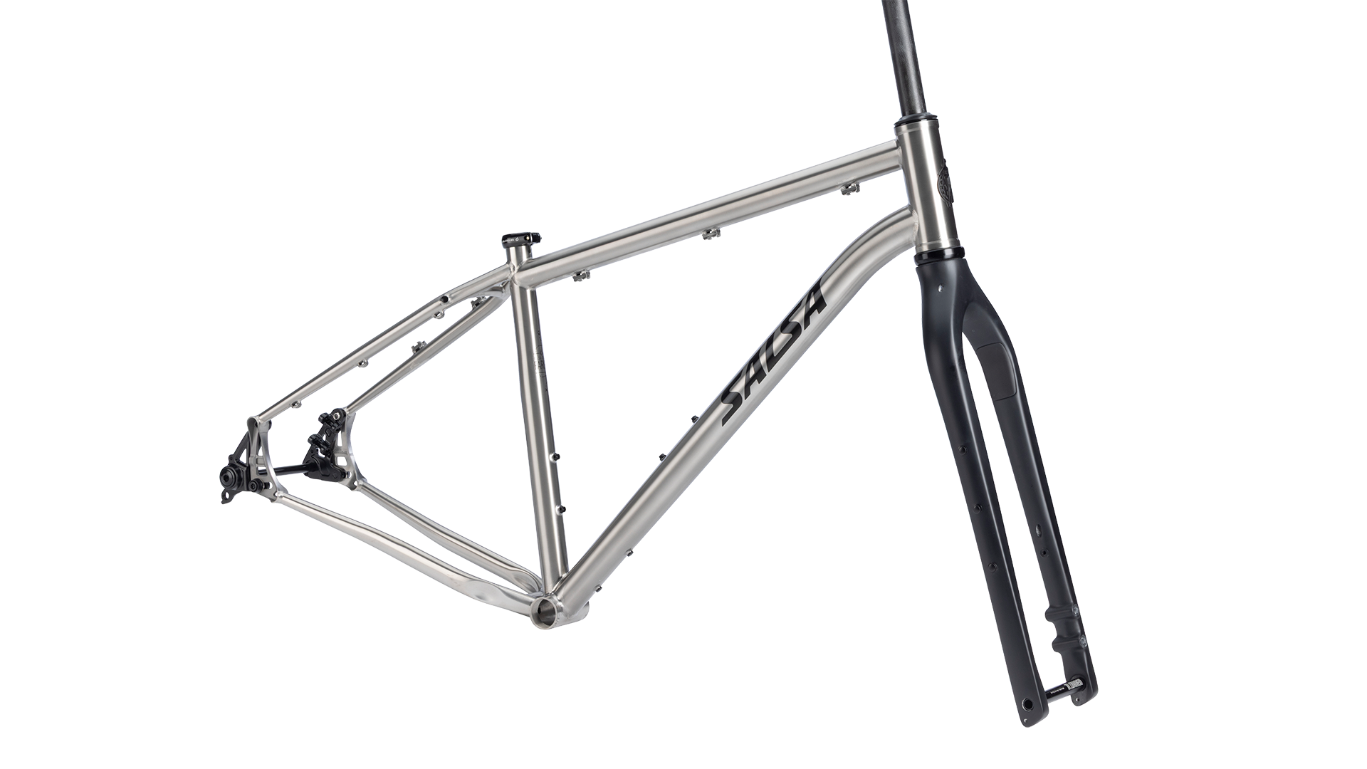Salsa Fargo Ti Gravel Bike Frameset - Brushed Titanium - Side profile view