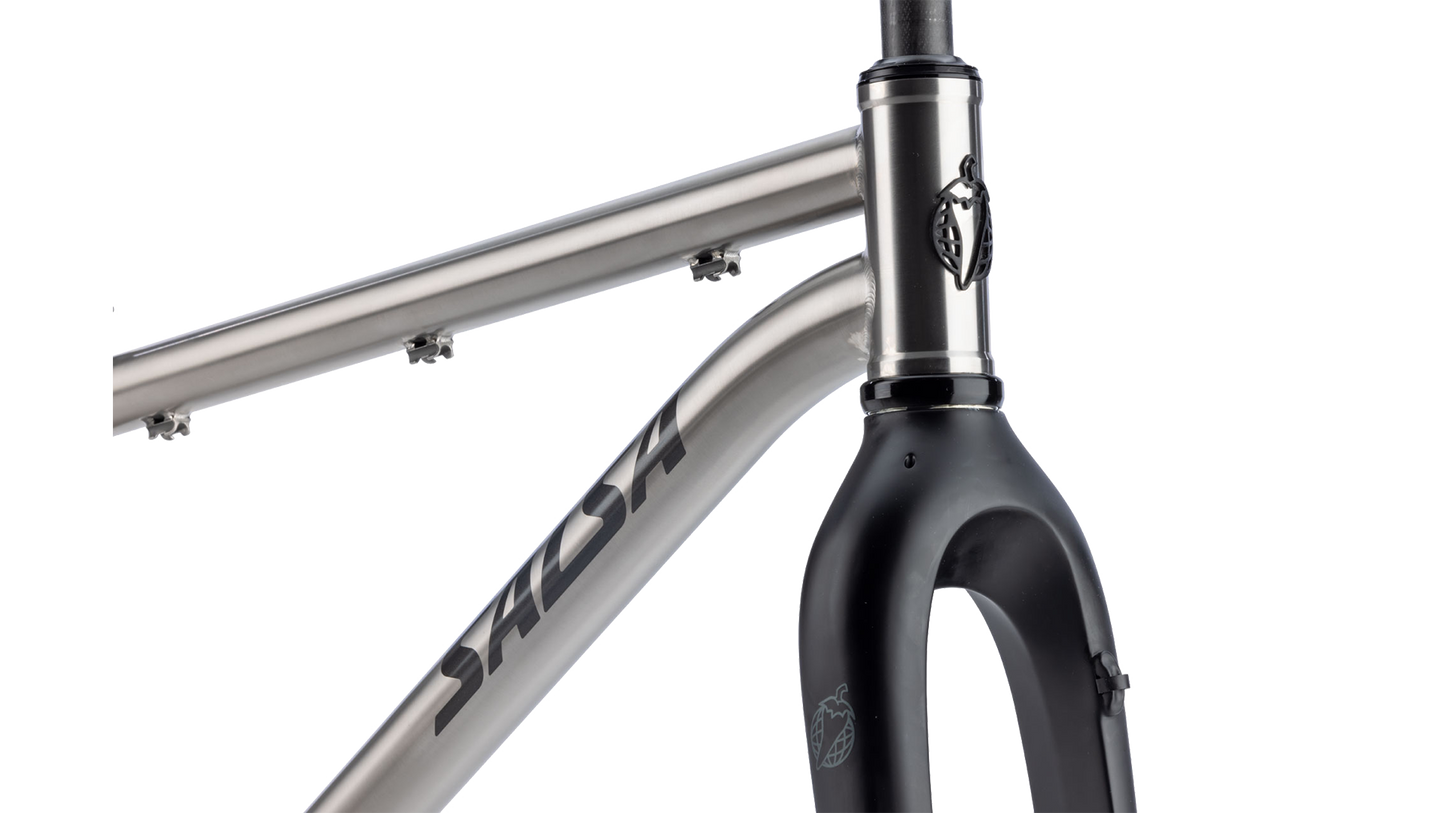 Salsa Fargo 32 Titanium Frame - Brused titanium - head tube closeup view