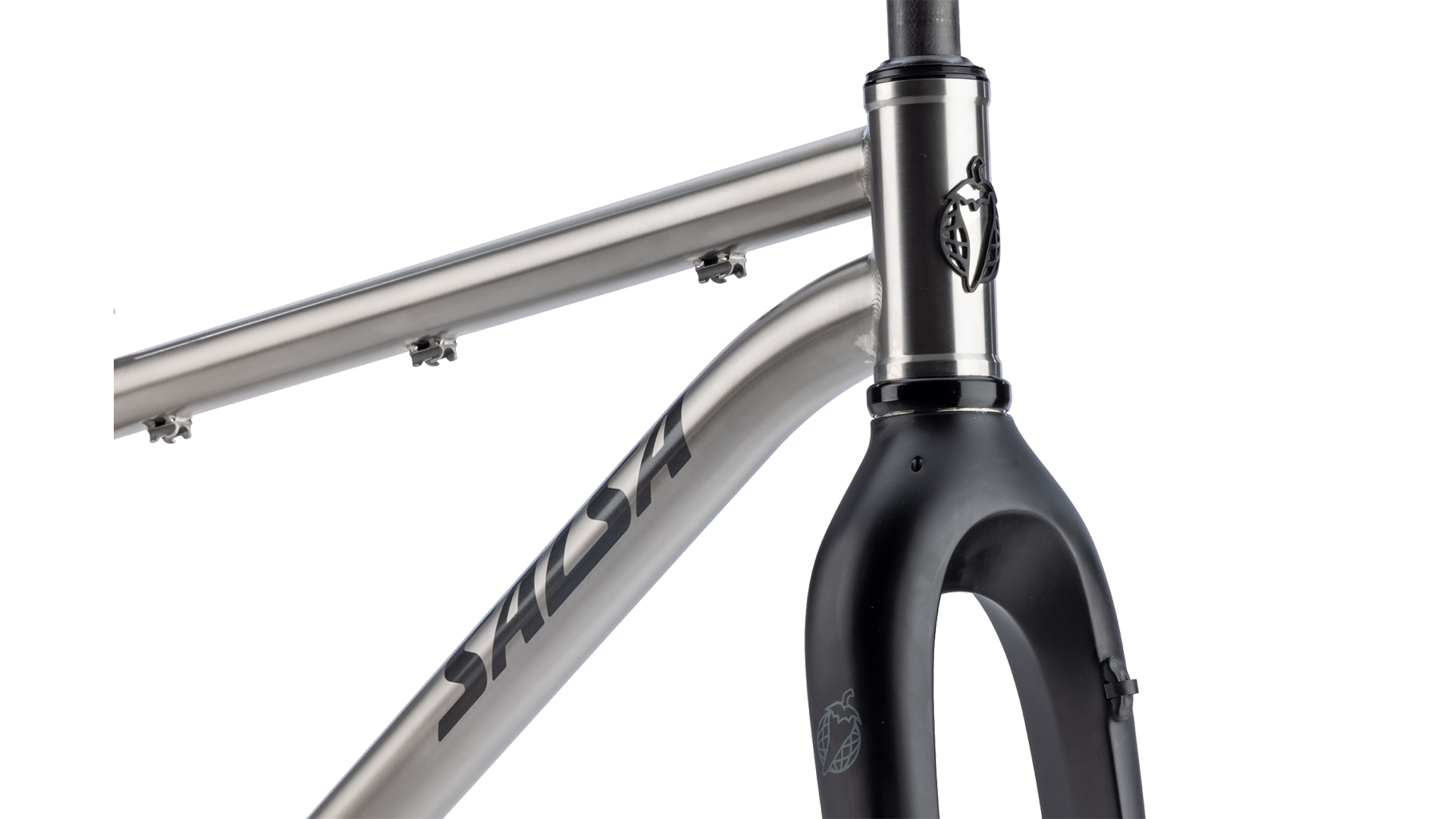 Salsa Fargo 32 Titanium Frame - Brused titanium - head tube closeup view