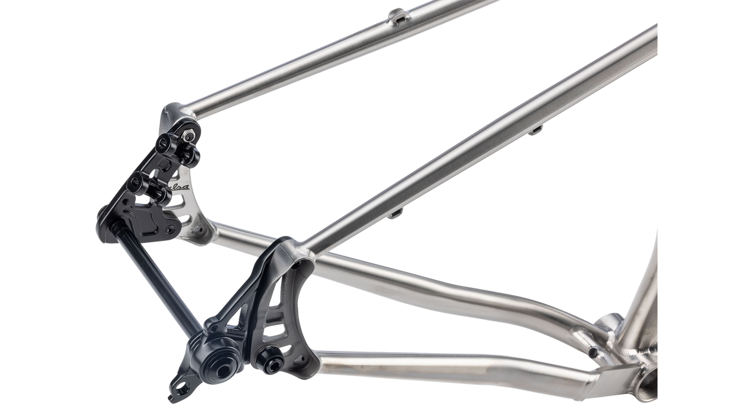 Salsa Fargo 32 Titanium Frame - Brused titanium - rear axle closeup