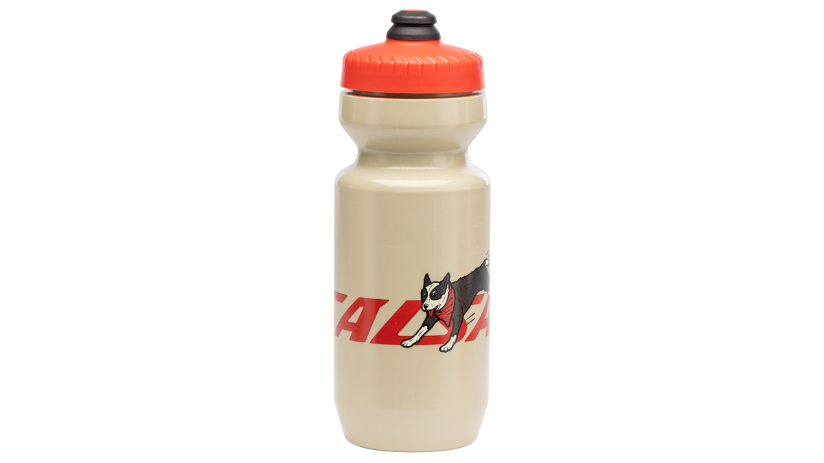 Salsa Fur Sends Water Bottle - Tan with red lid
