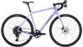 Salsa Warbird Rival GX AXS bike in purple side view